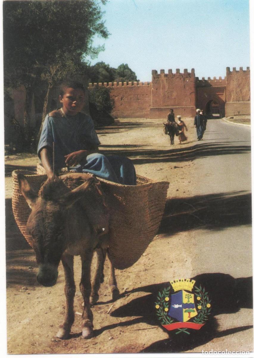 Postales: Marruecos- Taroudant-sin circular- - Foto 1