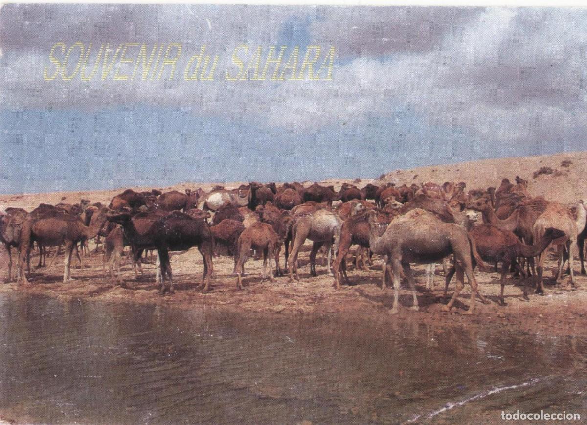 Postales: Marruecos-Sahara-circulada- - Foto 1