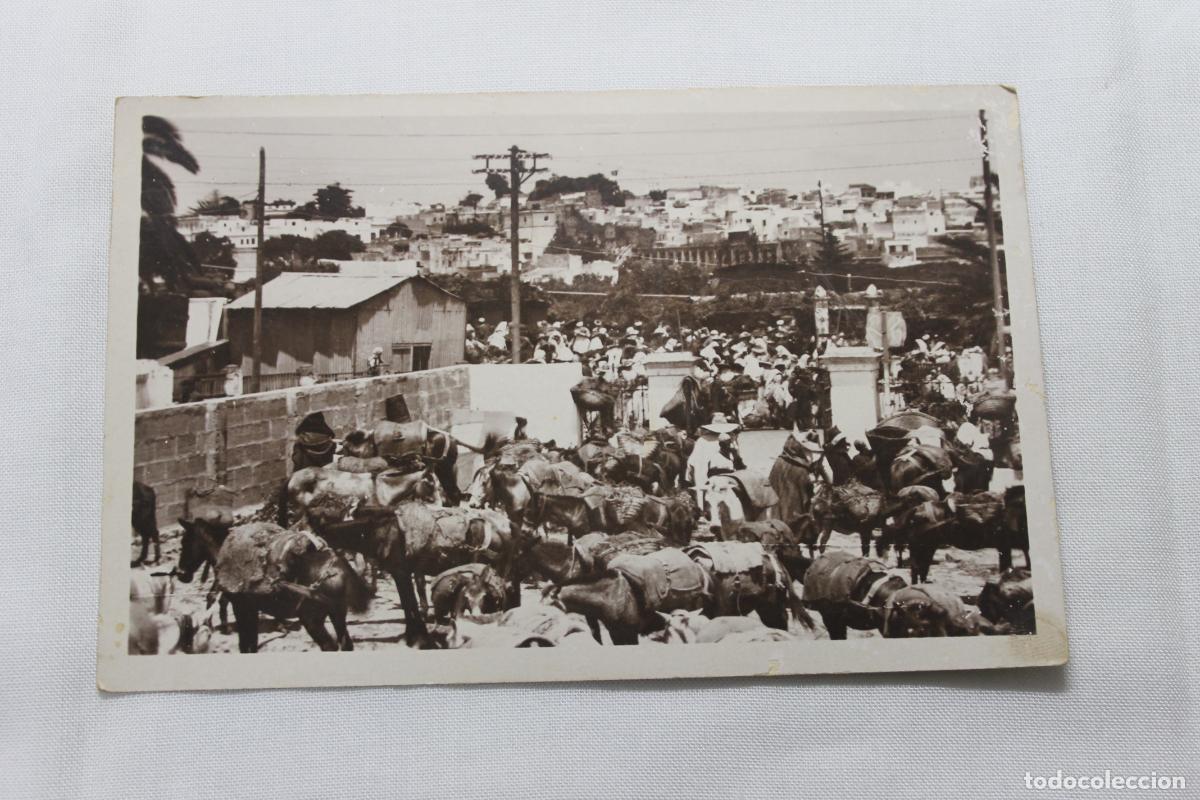 Postales: TANGER MERCADO DE LAS BESTIAS - Foto 1