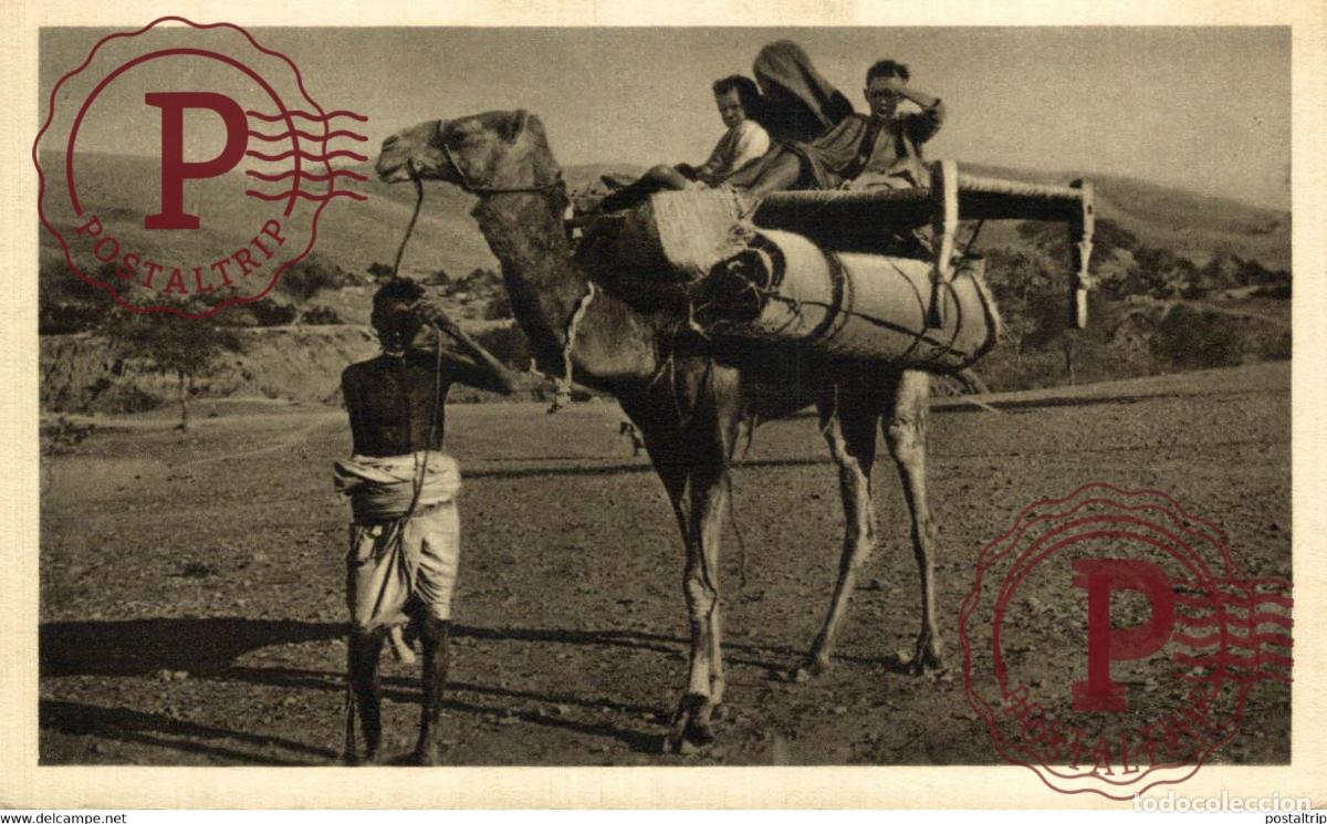 Postales: AFRICA. ERITREA. CHEREN TRASLOCO.