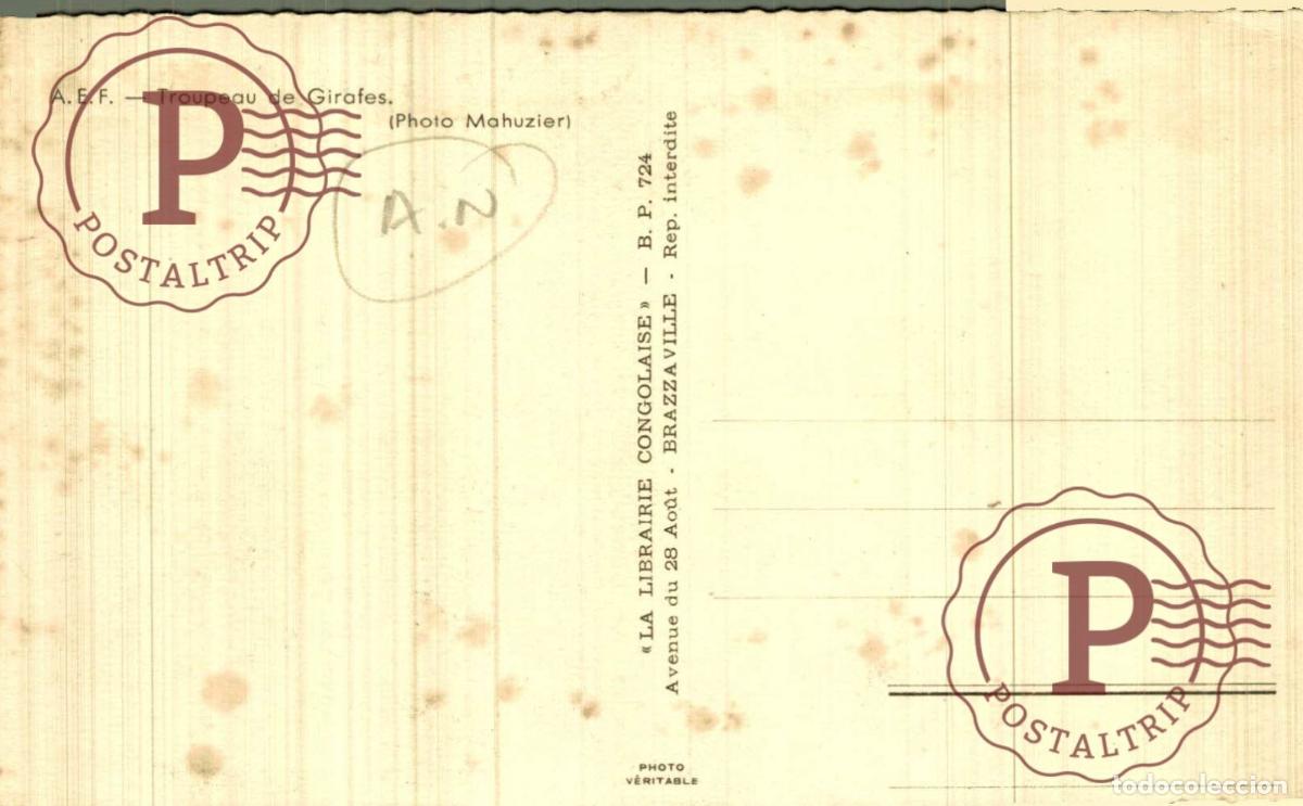 Postales: CONGO. TROUPEAU GIRAFES. - Foto 2