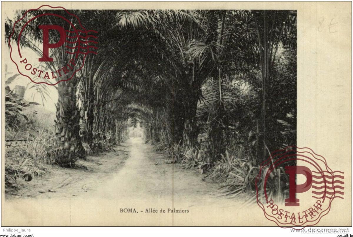 Postales: Boma - All&eacute;e de Palmiers - Foto 1