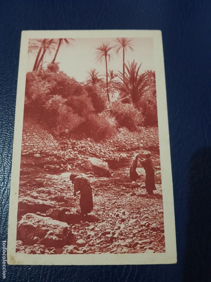 Postales: ALGERIA-BOU-SAADA.-LA RIVERA - Foto 1