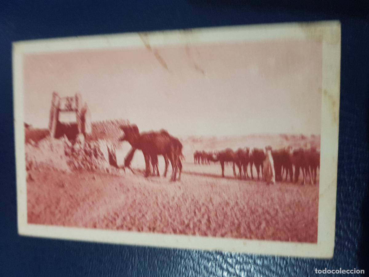 Postales: ALGERIA-GUERRARA .-CARAVANA - Foto 1