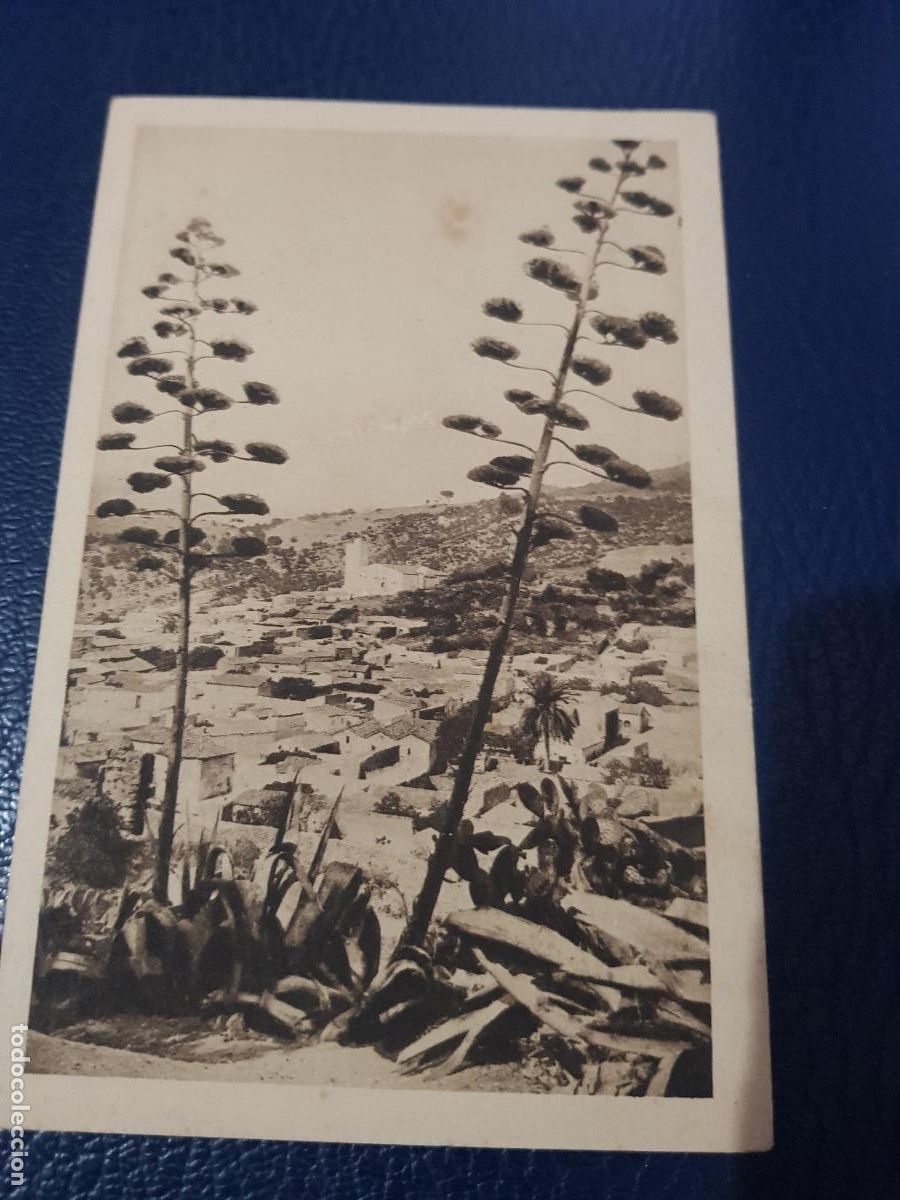 Postales: ALGERIA- EL VIEJO TENES - Foto 1