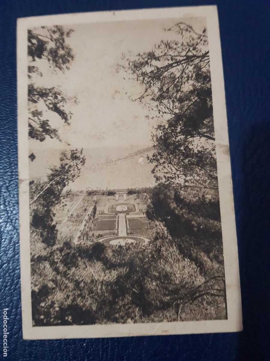 Postales: ALGERIA- ALGER.-JARDIN BOTANICO EL GRAN PARTERRE