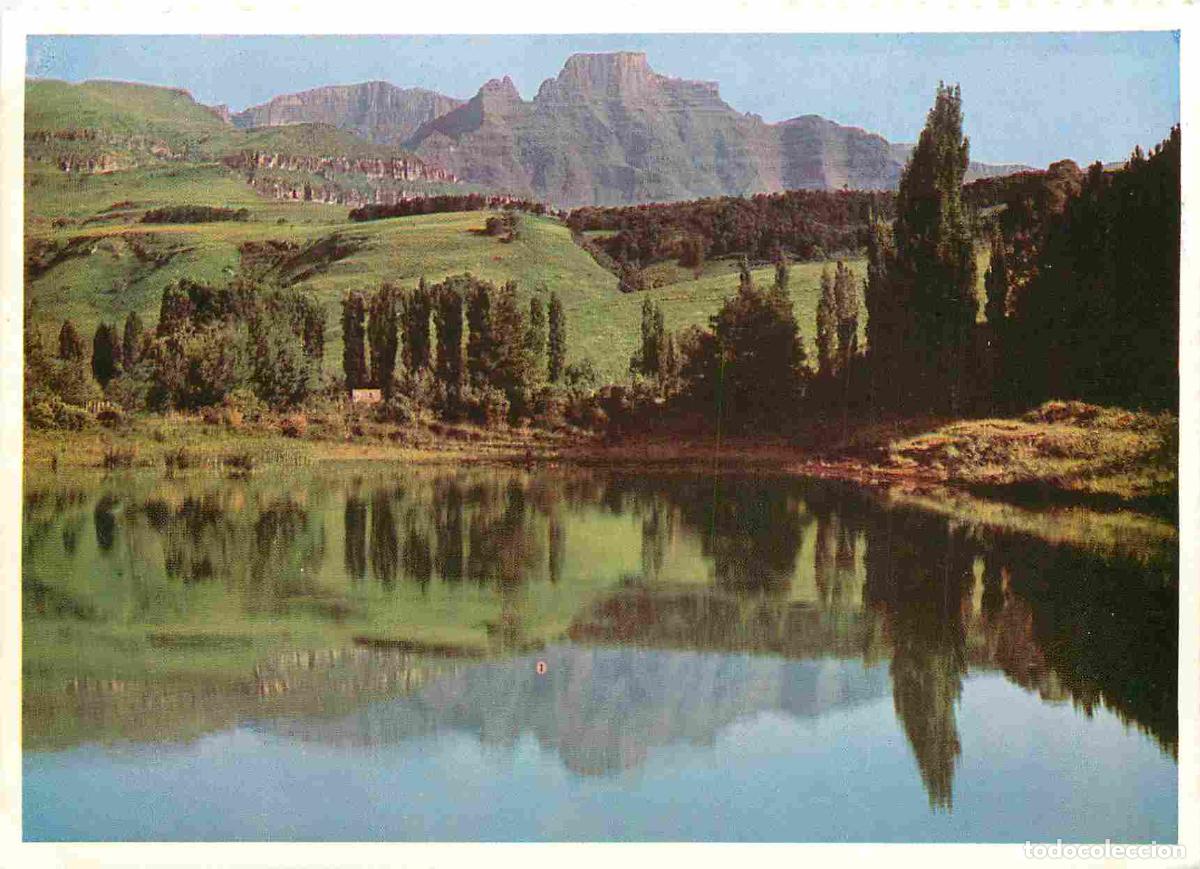 Cartes Postales: Carte Postale - Afrique du Sud - Drakensberg - Tranquil serenity neath Cathkin Peak - Natal - CPM -