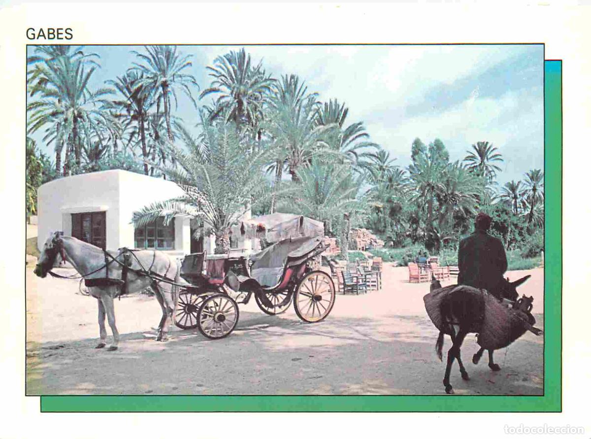 Postales: Carte Postale - Tunisie - Gab&egrave;s - le caf&eacute; de la cascade - Gouvernorat de Gab&egrave;s - CPM - Voir Scans Re