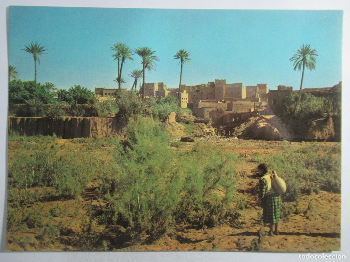 Postales: Marruecos / Maroc - Sud Marocain. Taourirt Vers la Source - S/C