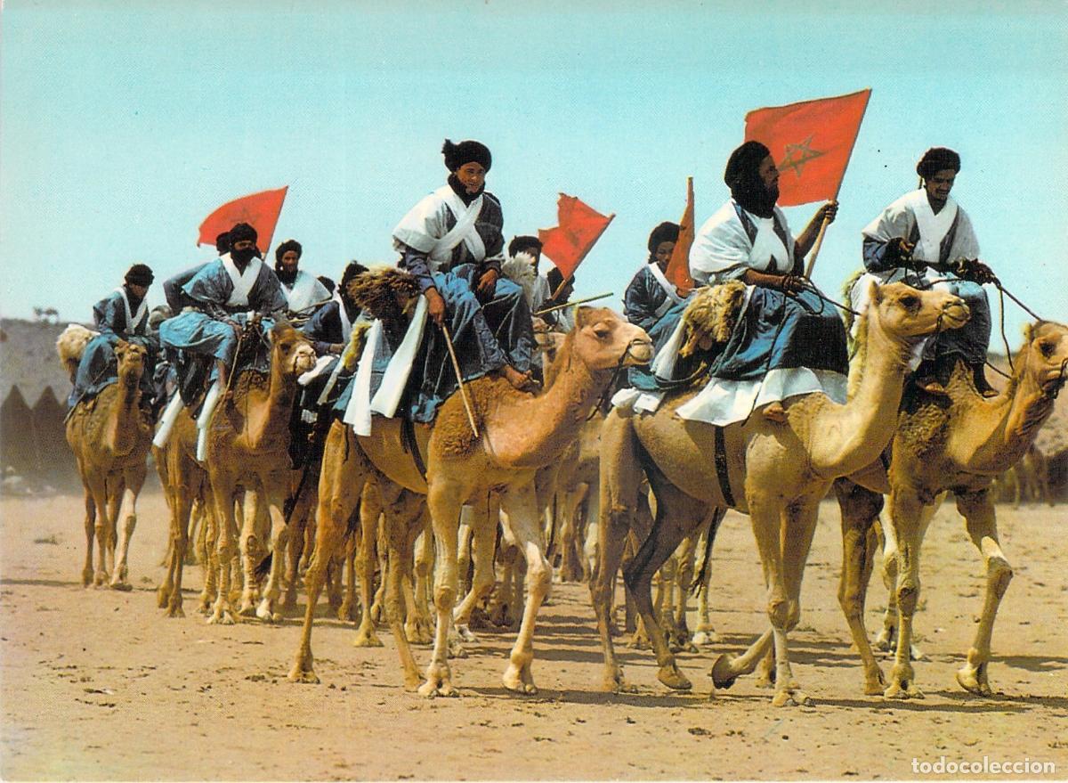 Postales: Postal de Caravana de Camellos en el Sur de Marruecos