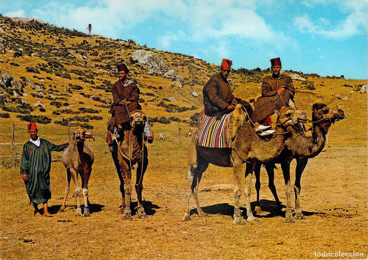 Postales: Postal de Marruecos - Camelleros Tradicionales