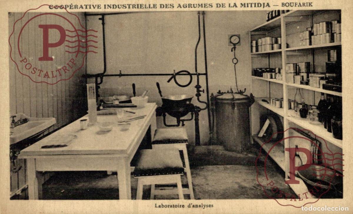 Postales: ARGELIA. ALGERIE. Boufarik - Coop&eacute;rative des Agrumes de la Mitidja. Laboratoire dAnalyses