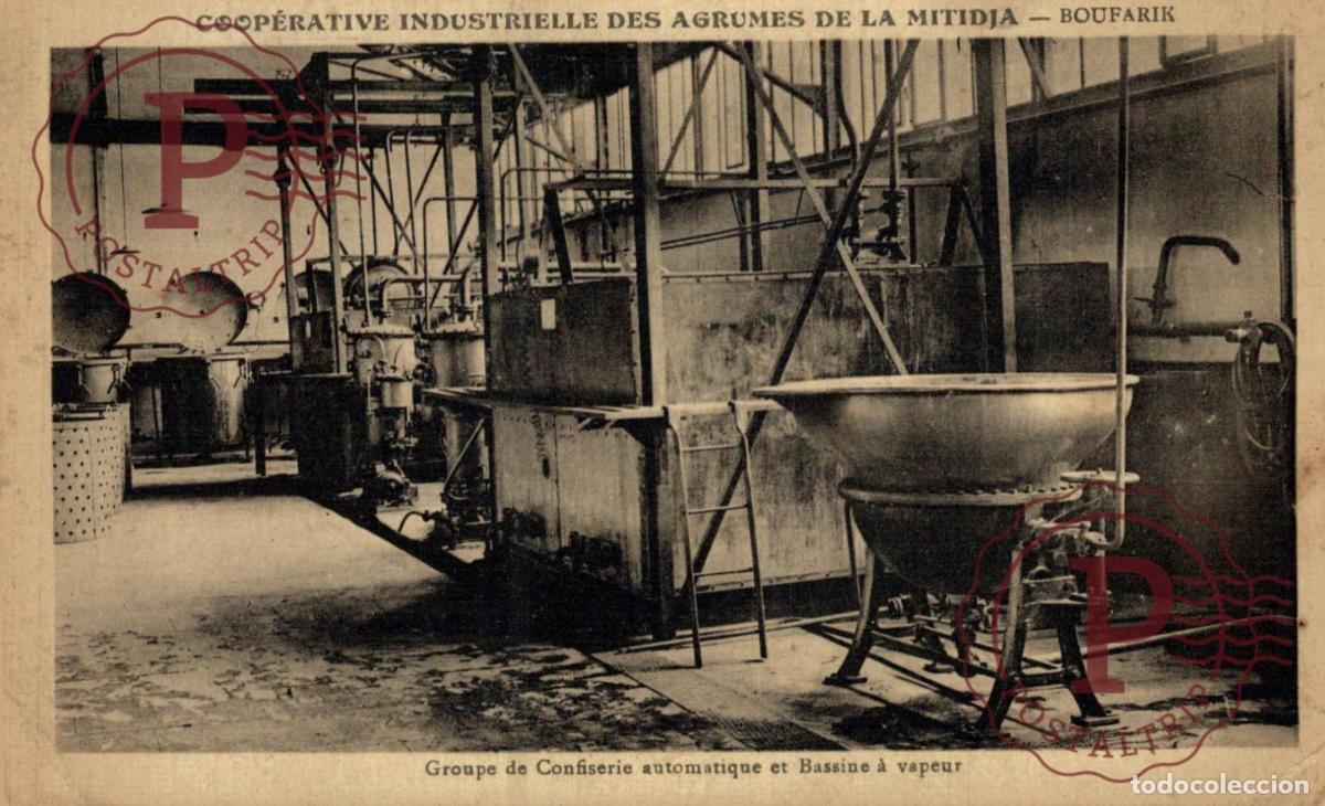 Postales: ARGELIA. ALGERIE. Boufarik - Coop&eacute;rative des Agrumes de la Mitidja. Groupe de Confiserie automatique