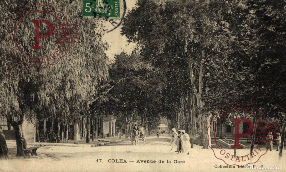 Postales: ARGELIA. ALGERIE. COLEA - AVENUE DE LA GARE