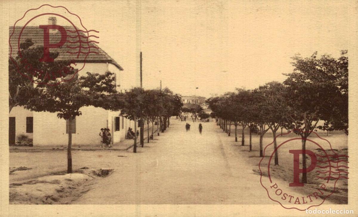 Postcards: ARGELIA. ALGERIE. Phosphates de CONSTANTINE 1928 - Mine du DJEBEL-KOUIF. MINA. BOULEVARD DU KOUIF.
