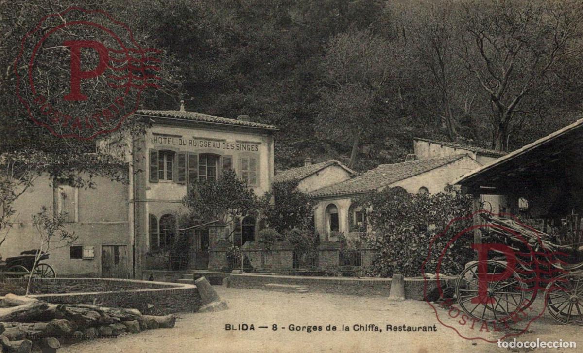 Postais: ARGELIA. ALGERIE. BLIDA gorges de la chiffa-restaurant