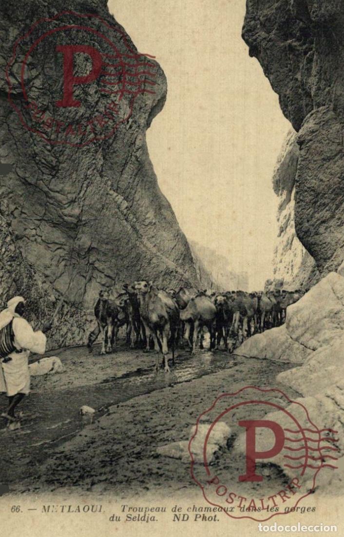 Postkarten: TUNEZ. TUNIS. TUNISIE. METLAOUI - Tropeau de chemeaux dans les gorge du SELDJA