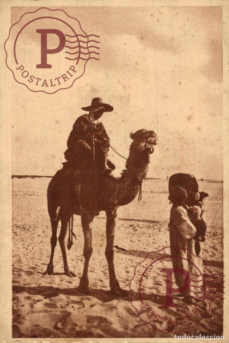 Postales: ARGELIA. ALGERIE. BOU SAADA. CONVERSATION AU DESERT.