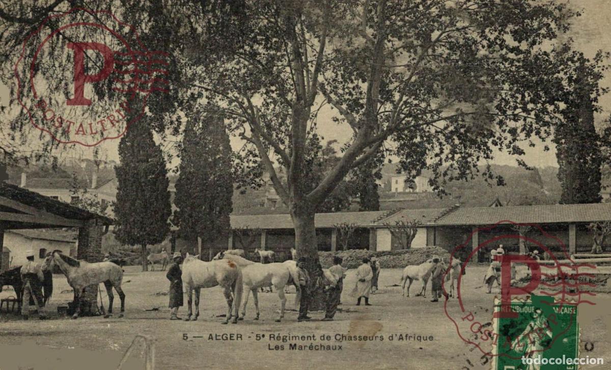Postkarten: ARGELIA. ALGERIE. ALGER. 5&ordm; REGIMENT DE CHASSEURS DAFRIQUE. LES MARECHAUX
