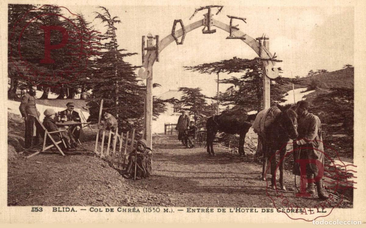 Postales: ARGELIA. ALGERIE. BLIDA COL DE CHREA. ENTREE DE LHOTEL DES CEDRES