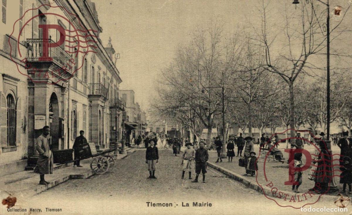 Postales: ARGELIA. ALGERIE. TLEMCEN - La Mairie