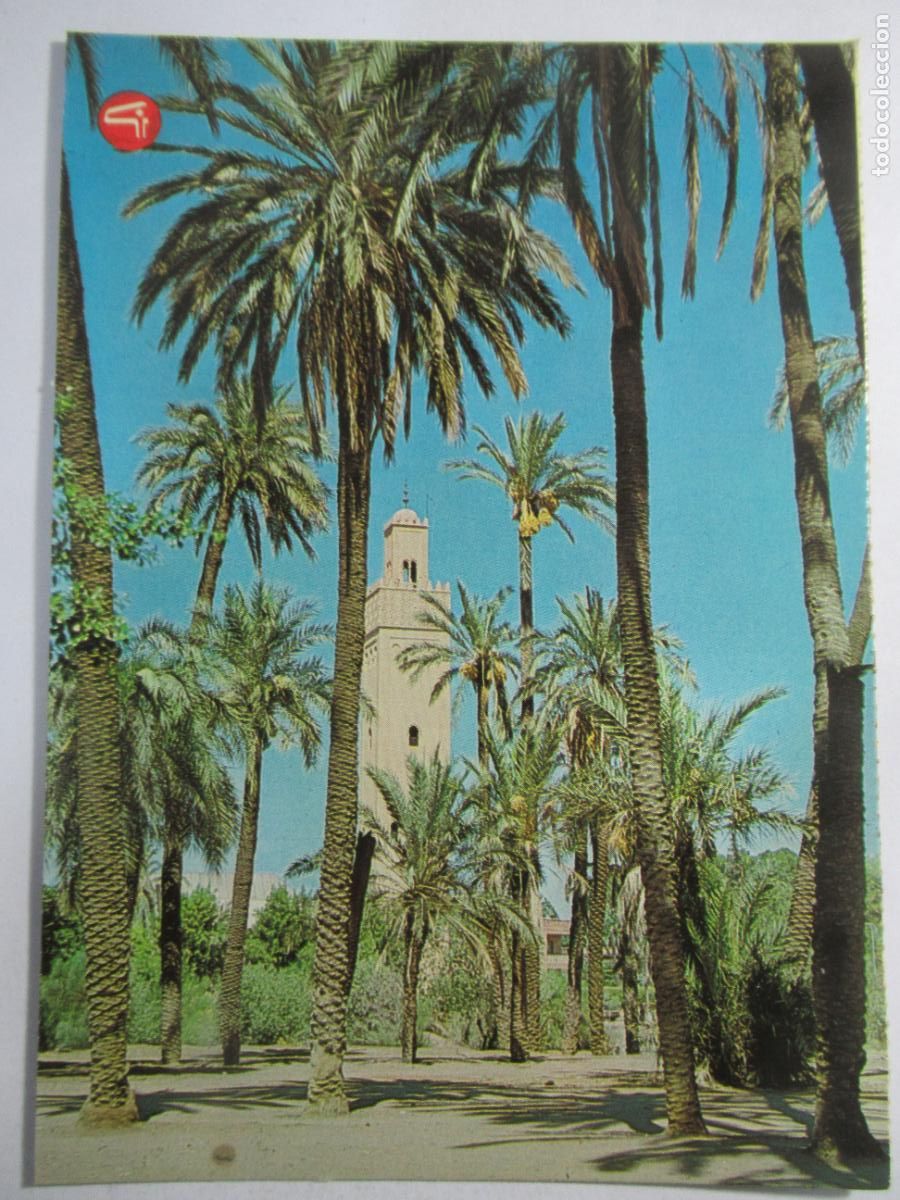 Postales: Marruecos / Maroc - Marrakech - Mosqu&eacute;e entre les palmiers - S/C