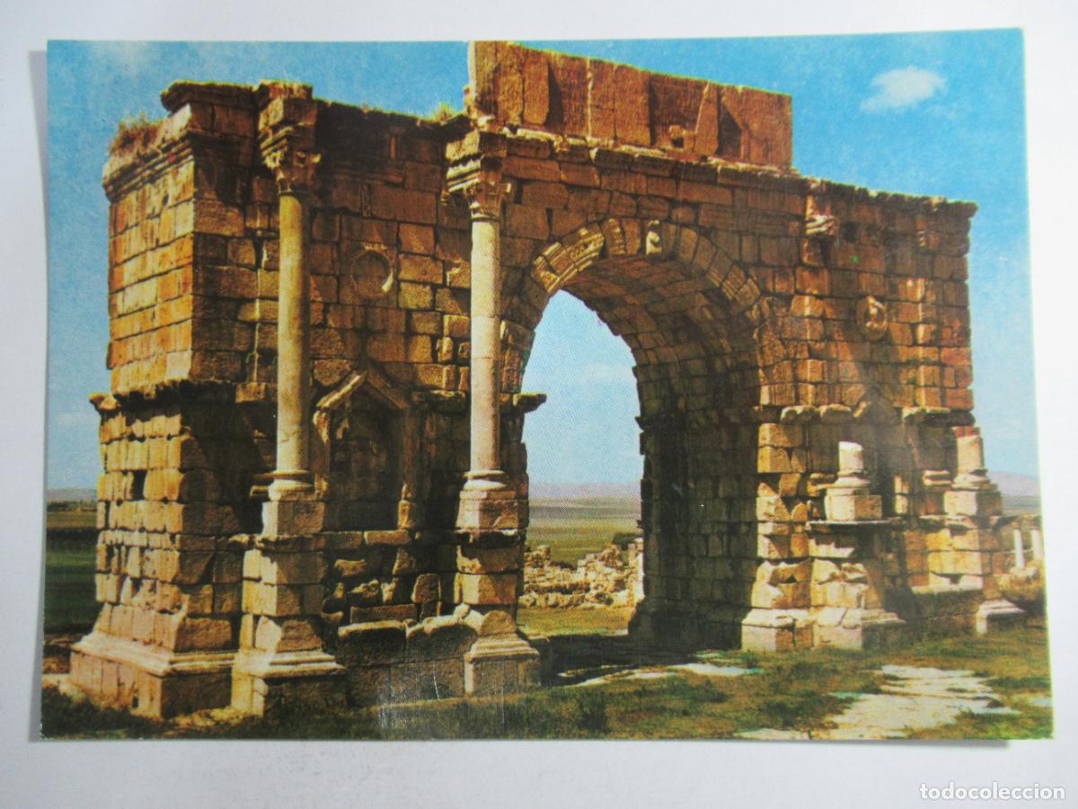 Postales: Marruecos / Maroc - Volubilis - L'Arc du Triomphe - S/C