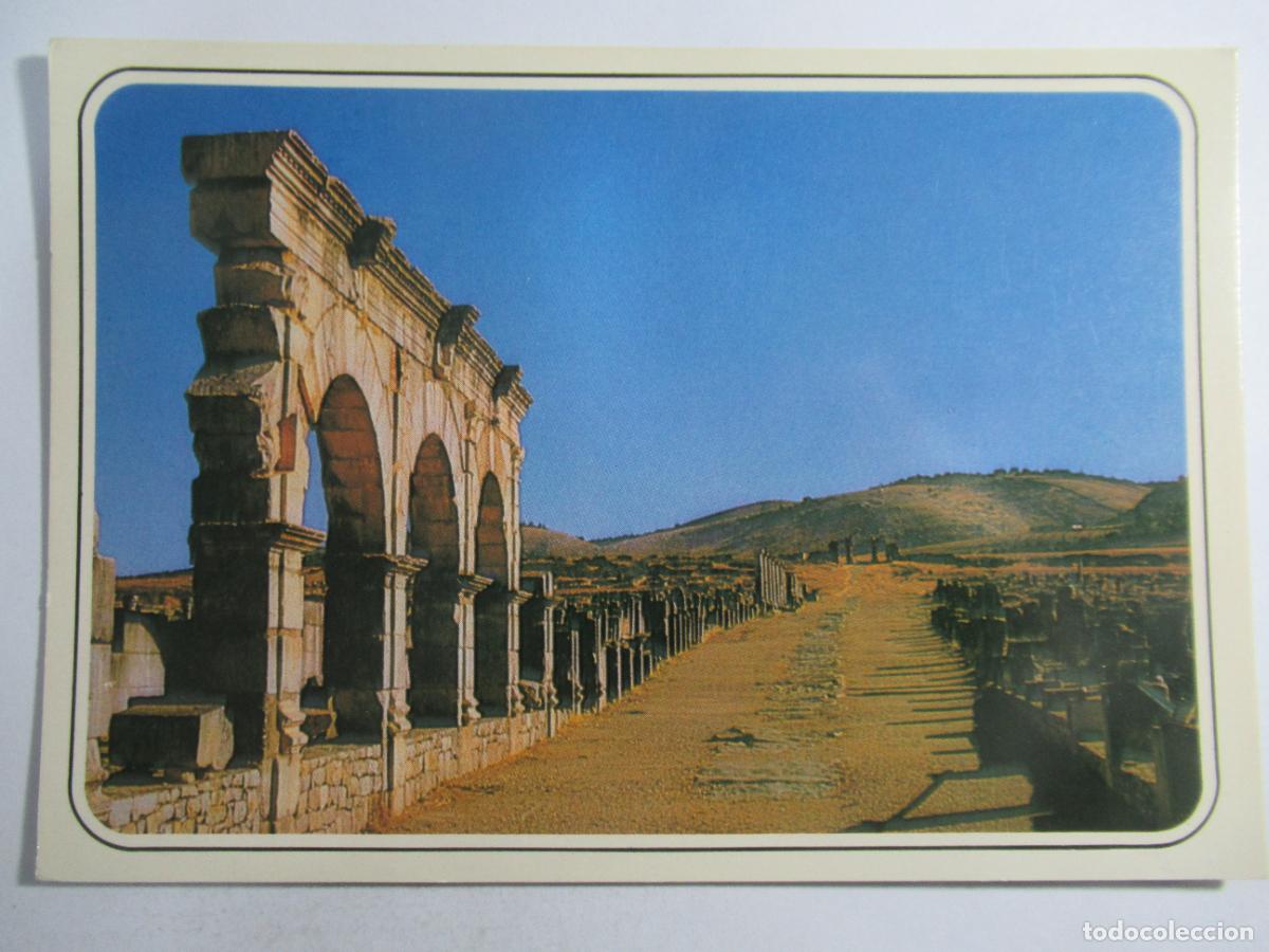 Postales: Marruecos / Maroc - Volubilis - Basilique et le Capitol - S/C