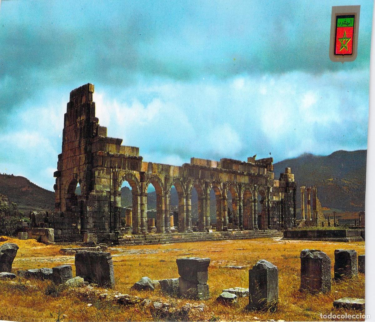 Postales: Postal de las Ruinas de Volubilis, Marruecos: Bas&iacute;lica y el Capitolio
