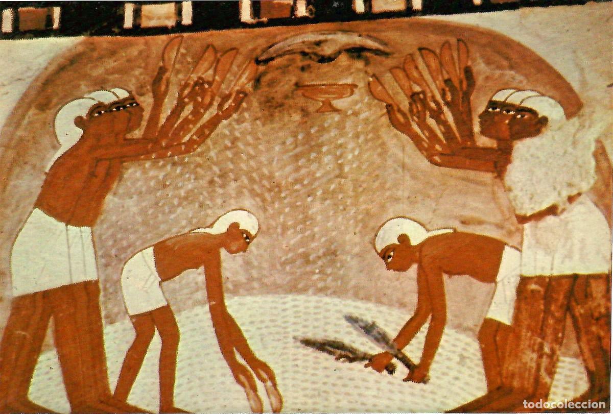 Postales: N&ordm; 3-Girls winnowing the corn. Tomb of Noble Nakht 1415 B.C. Sin circular. ED. LEHNERT & LANDROCK