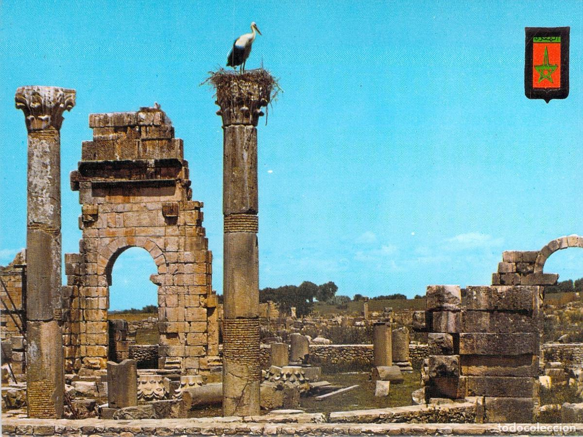 Postales: Postal de las Ruinas del Templo en Volubilis, Marruecos con Cig&uuml;e&ntilde;a