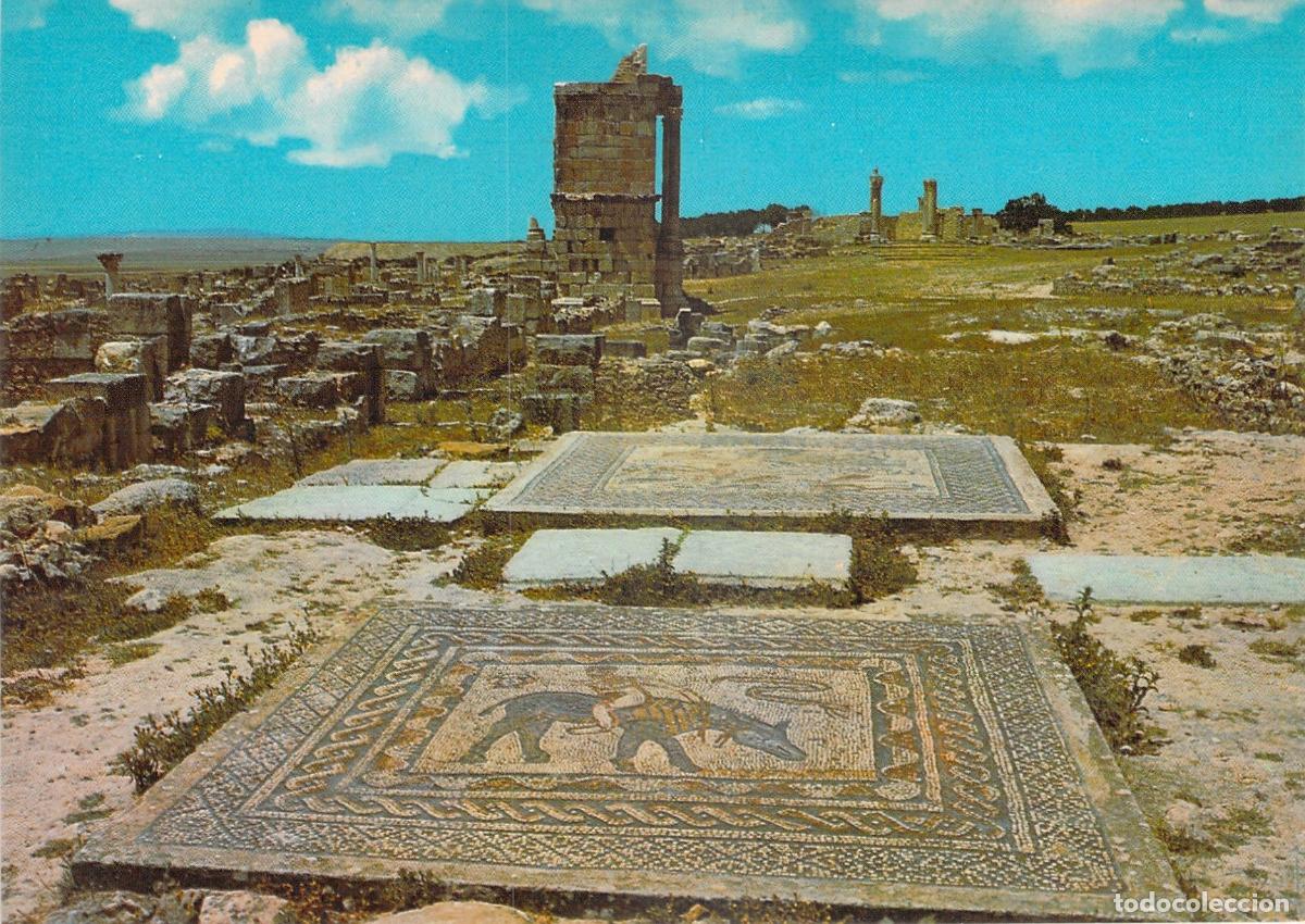 Postales: Postal de Mosaicos en la Casa de Orfeo, Volubilis, Marruecos