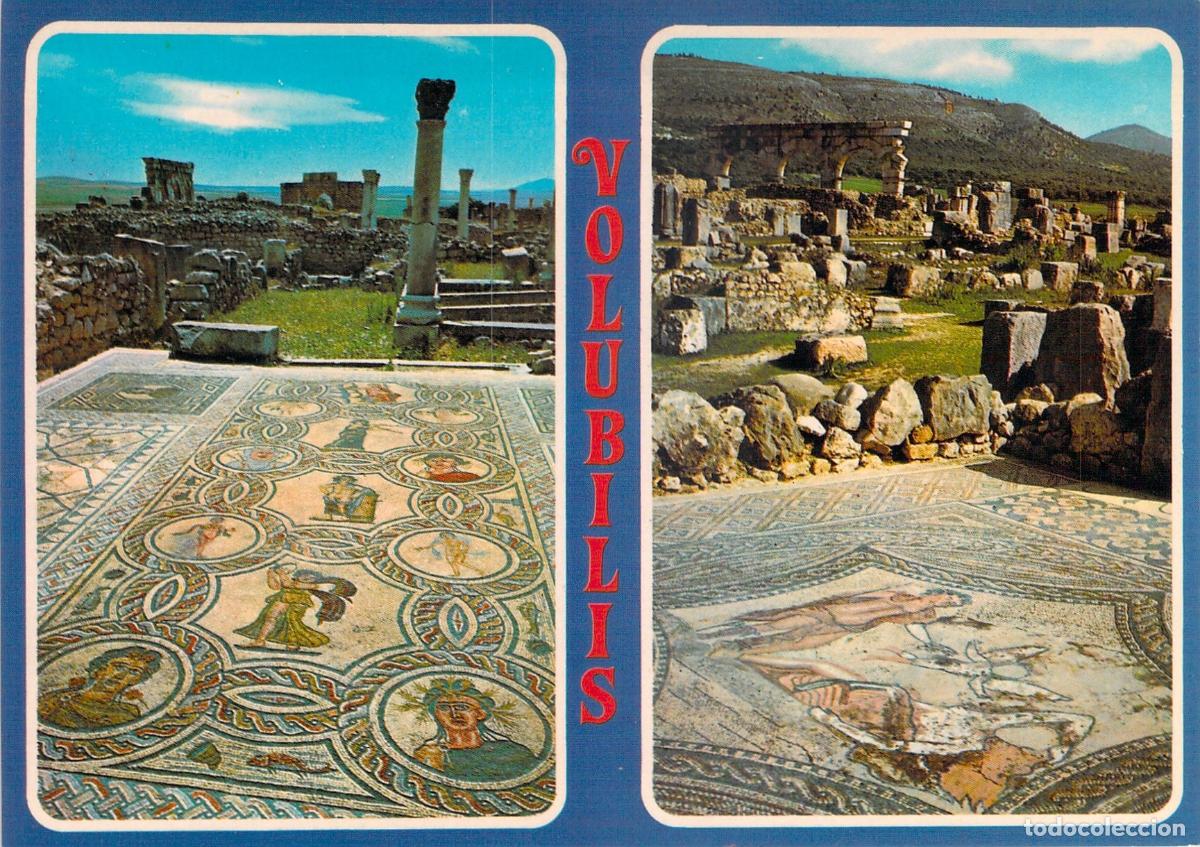 Postales: Postal de Volubilis Marruecos Mosaicos Casa de Orfeo y del Caballero