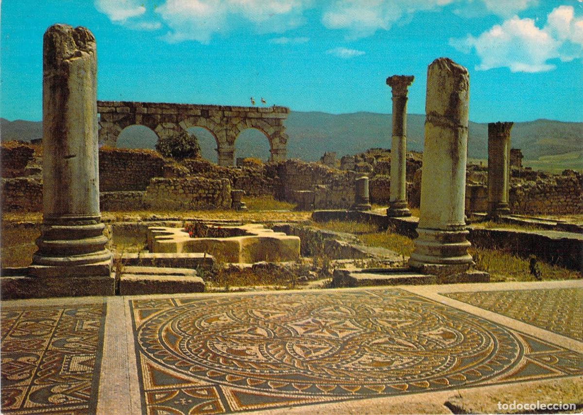Postales: Postal de las Ruinas Romanas de Volubilis, Marruecos - Mosaico de H&eacute;rcules