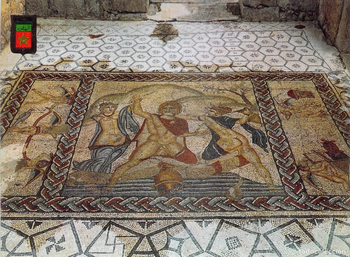Postales: Postal de los Mosaicos de la Casa de Venus en Volubilis, Marruecos