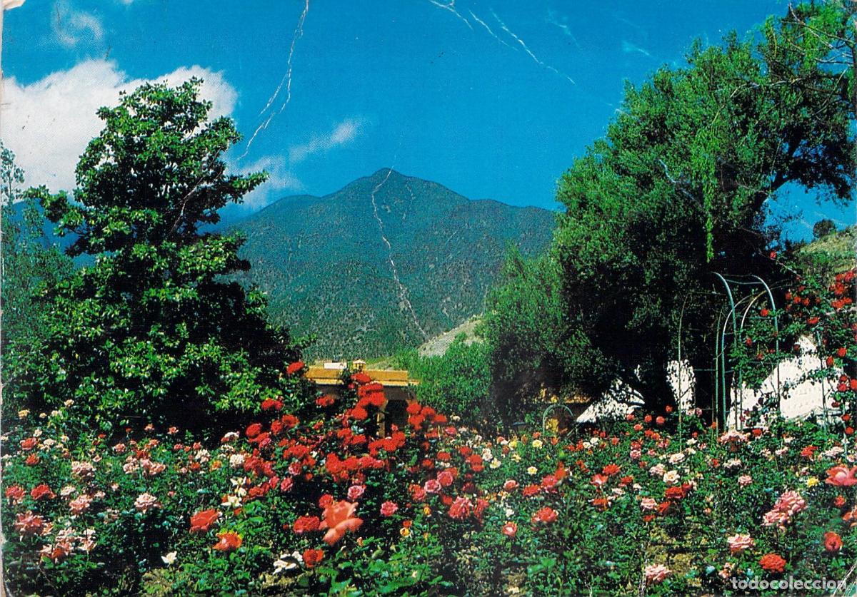 Postales: Postal de Ouirgane Marruecos Regi&oacute;n de Marrakech Jard&iacute;n de Rosas