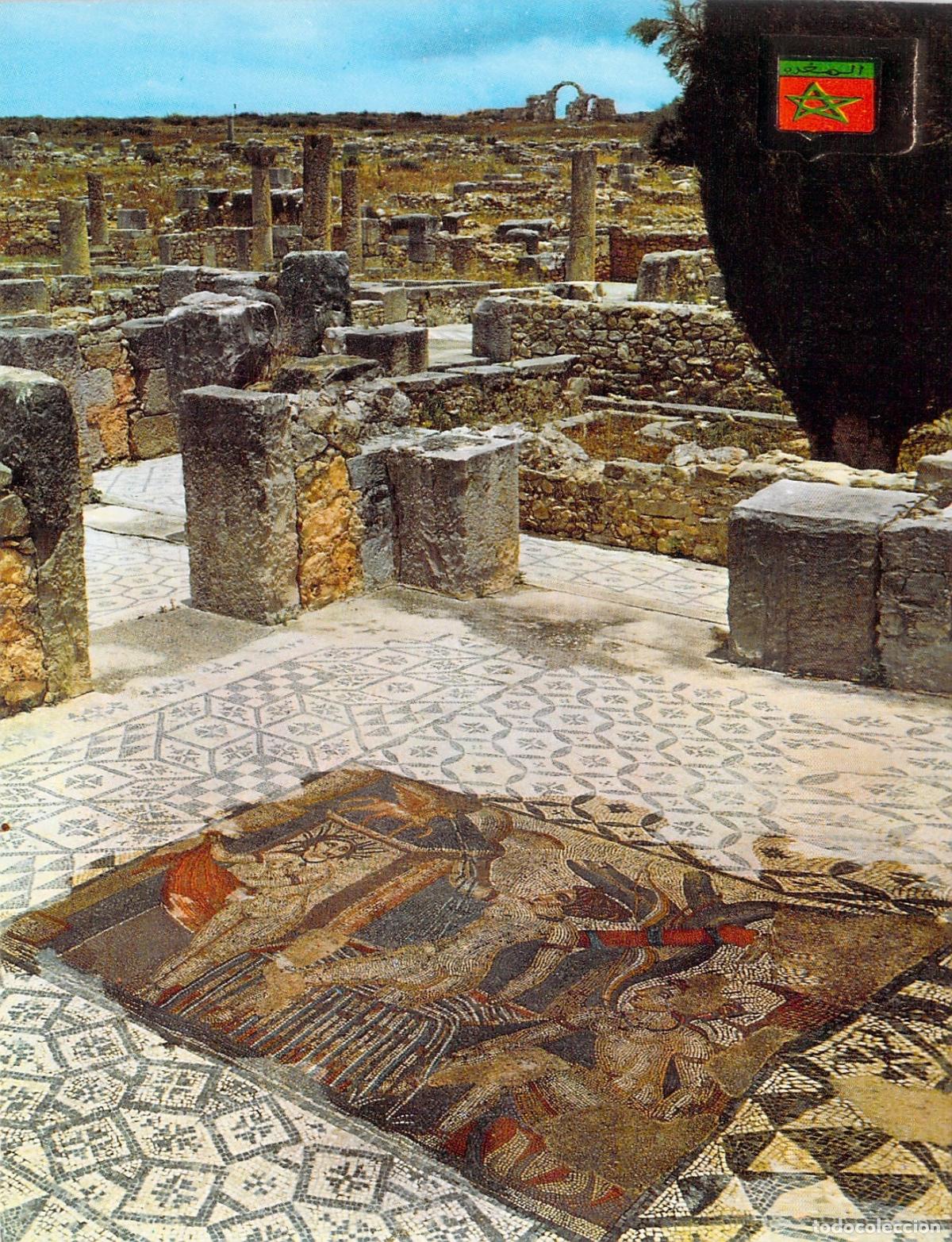 Postales: Postal de los Mosaicos de la Casa de Venus, Volubilis, Marruecos