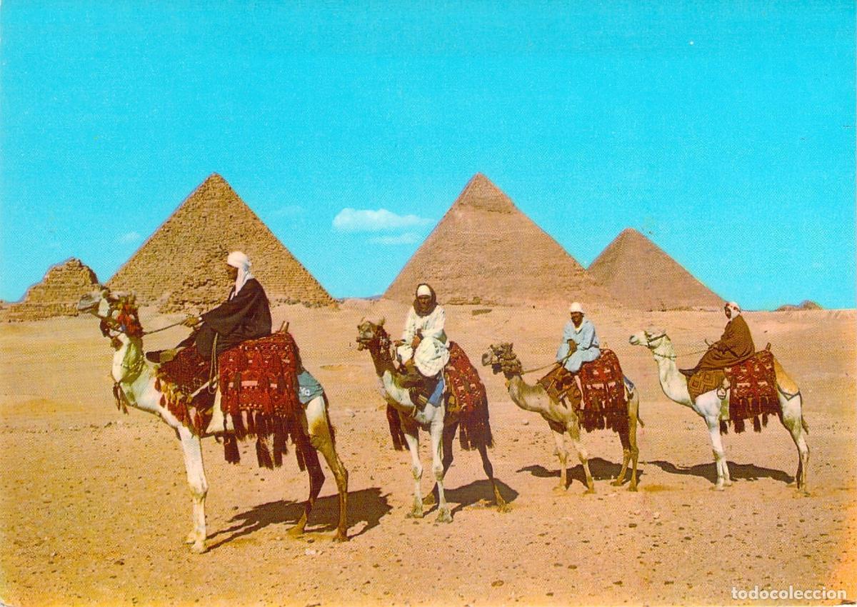 Postales: Postal de Giza con Jinetes de Camello y las Grandes Pir&aacute;mides
