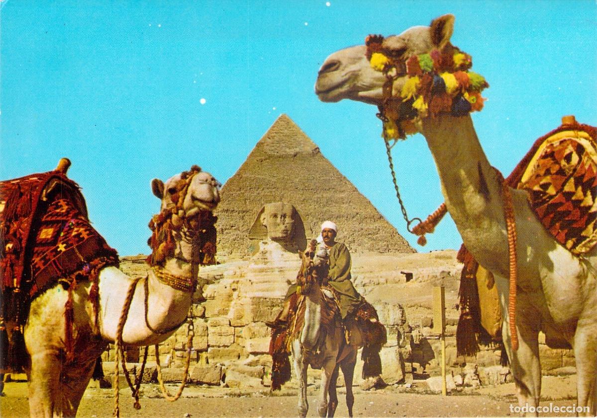 Postales: Postal de Giza: Esfinge, Pir&aacute;mide de Kefr&eacute;n y Camellos en Egipto