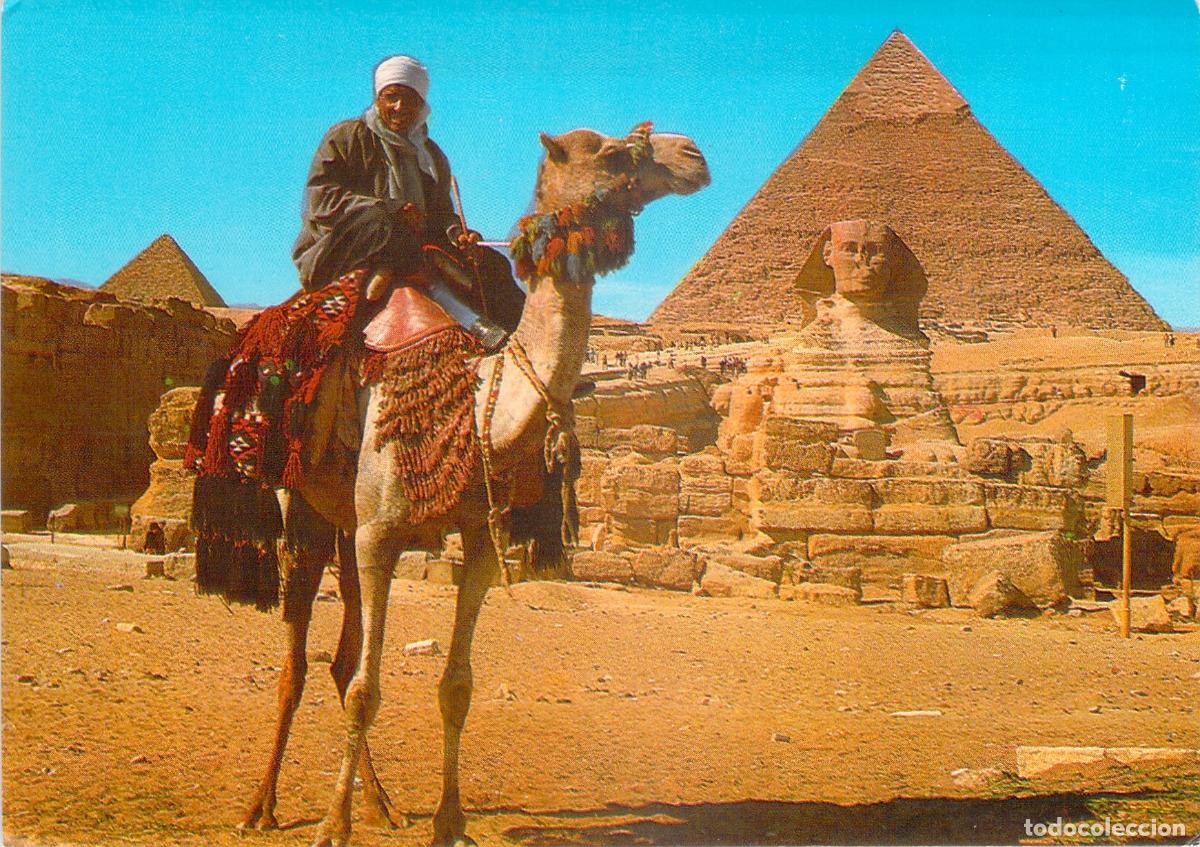 Postales: Postal de Egipto: Camellero ante la Esfinge y Pir&aacute;mide de Kefr&eacute;n en Giza