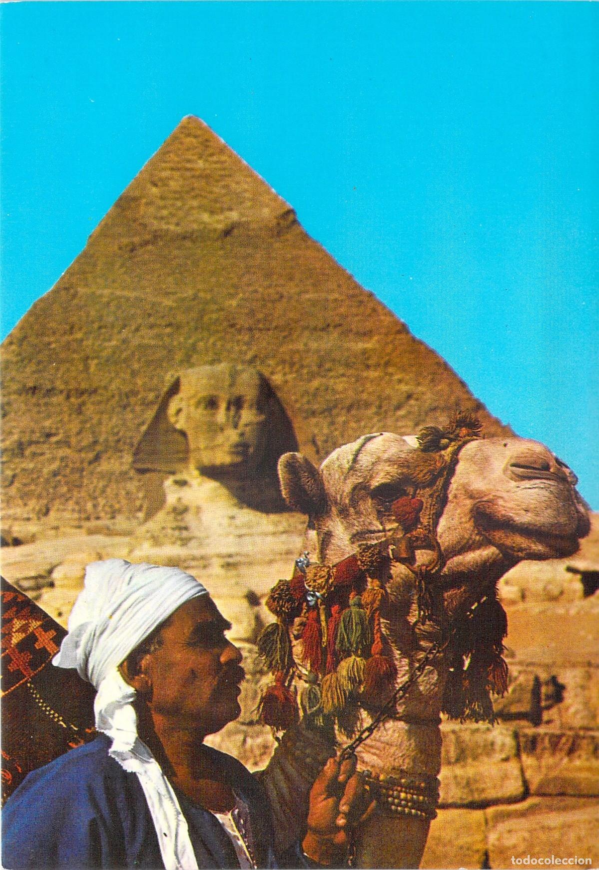 Postales: Postal de Egipto: Camellero ante la Esfinge y Pir&aacute;mide de Kefr&eacute;n, Giza