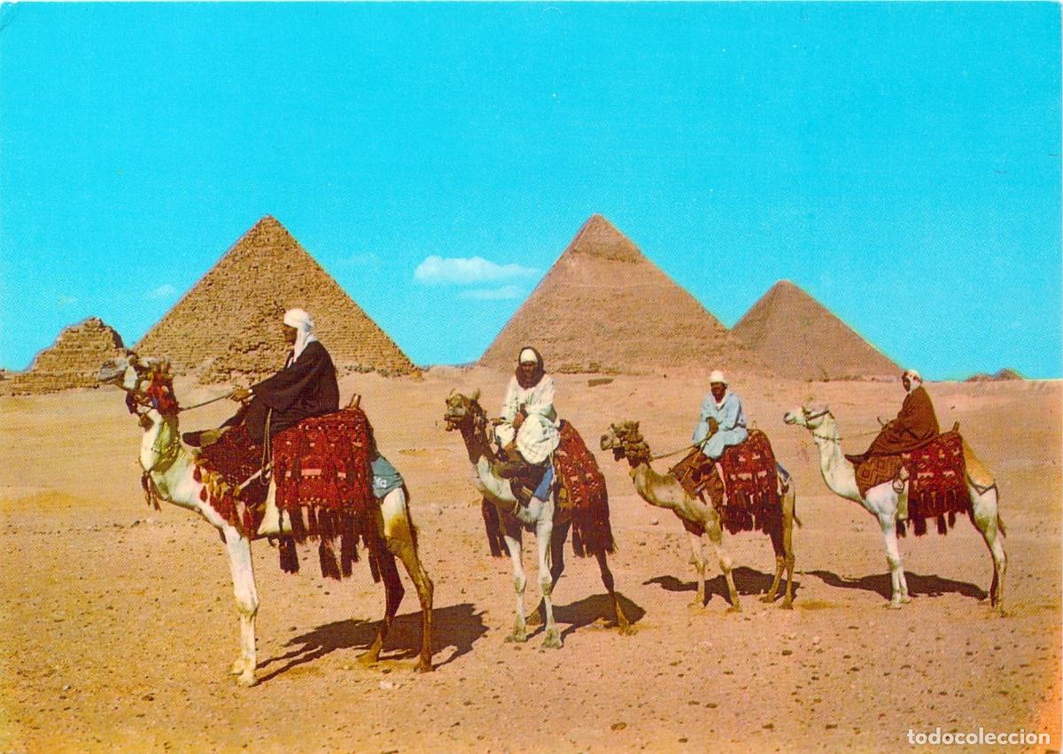 Postales: Postal de Jinetes de Camello &Aacute;rabes frente a las Pir&aacute;mides de Giza