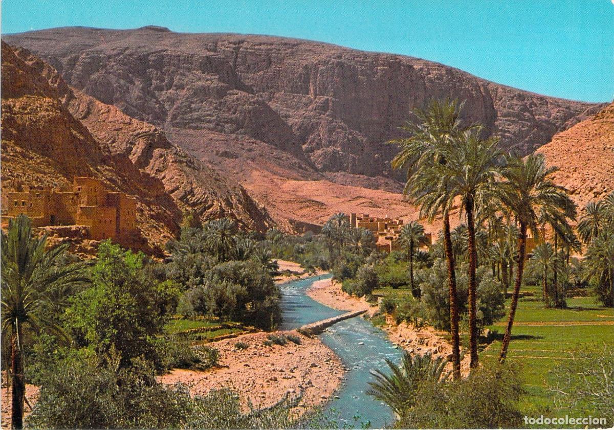 Postales: Postal Valle del Draa Marruecos - Paisaje T&iacute;pico con Palmeras y Kasbah