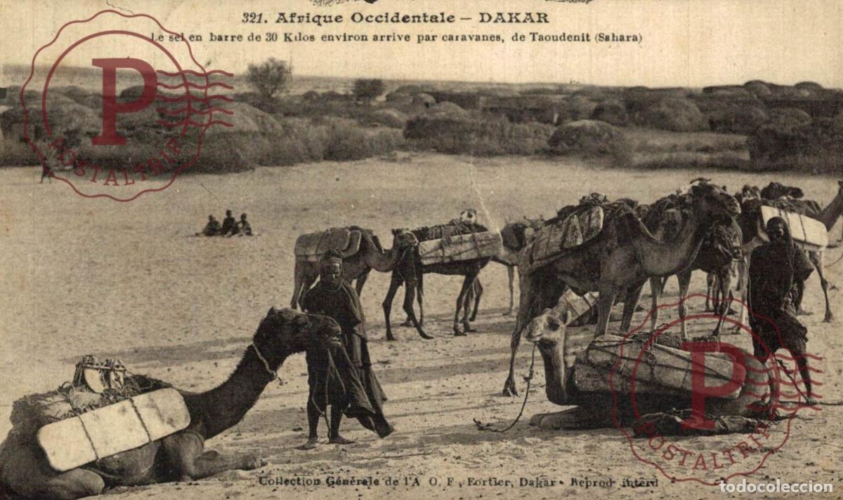 Postales: SENEGAL. DAKAR . Le sel, en barre de 30 Kilos environ, arrive par caravanes de TAOUDENIT Sahara