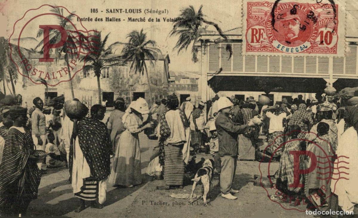 Postales: SENEGAL - Saint Louis - Entr&eacute;e des Halles - March&eacute; de la Volaille
