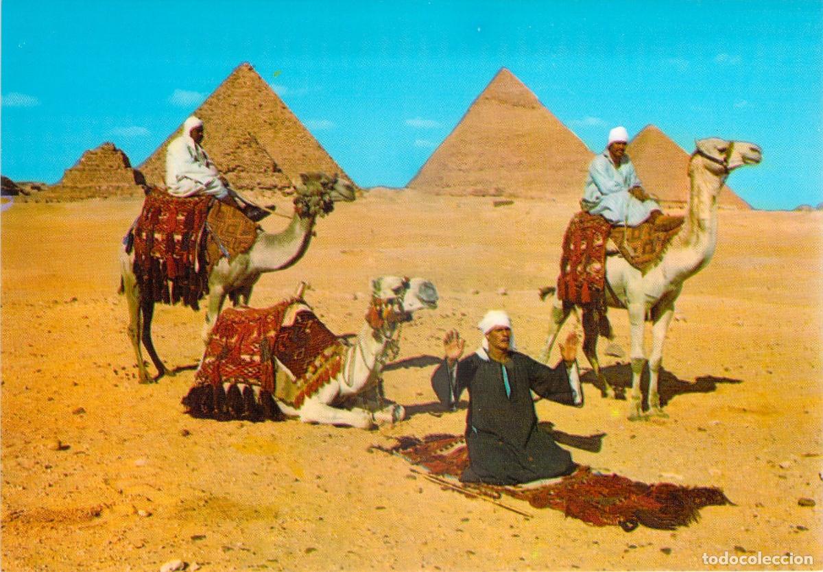 Postales: Postal de Egipto: Pir&aacute;mides de Giza y Jinetes de Camello