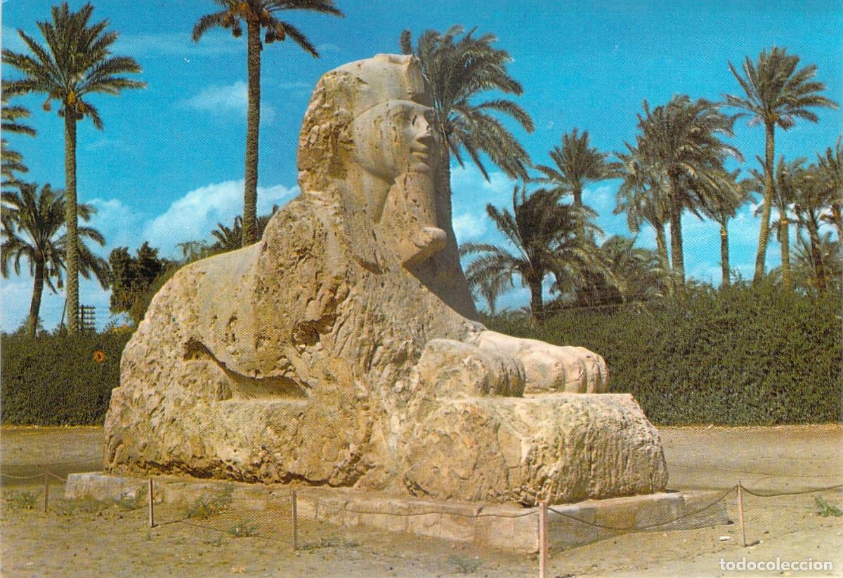 Postales: Postal de la Esfinge de Alabastro en Sakkara, Egipto
