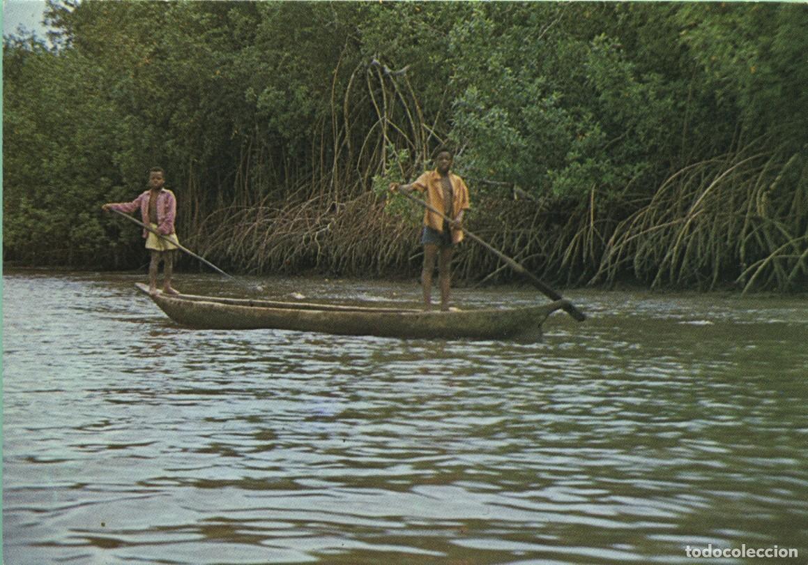 Postales: GUINEA ECUATORIAL. Mangle cerca de Acalayong. Sin circular. ED. GRUPO DE AYUDA A LAS REALISACIONES D