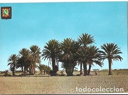 Postales: POSTAL A COLOR N&ordm; 13 AAIUN SAHARA ESPA&Ntilde;OL