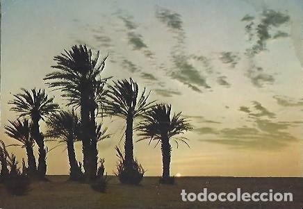 Postales: POSTAL A COLOR SAHARA